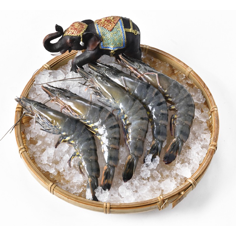 京觅·海外直采 泰国活冻黑虎虾（大号） 300g 12-15只 盒装 健康轻食 原装进口
