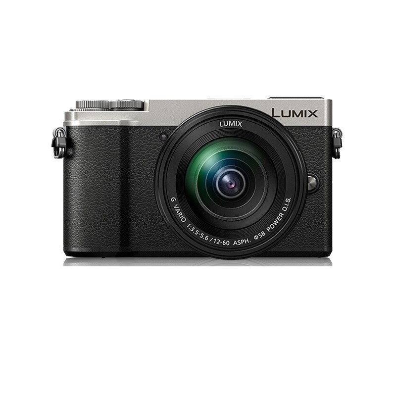 松下（Panasonic）GX9微单数码相机（GX85升级版）【旅行变焦】12-60mmⅠ代银色套机+64G卡（三年质保）