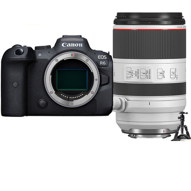 佳能（Canon）EOS R6 全画幅专微 Vlog微单相机 4K拍摄 RF70-200mm F2.8 L IS USM 套餐三 专业摄影礼包
