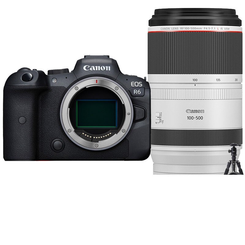 佳能（Canon）EOS R6 全画幅专微 Vlog微单相机 4K拍摄 RF100-500 4.5-7.1L IS USM 套餐一 基础摄影礼包