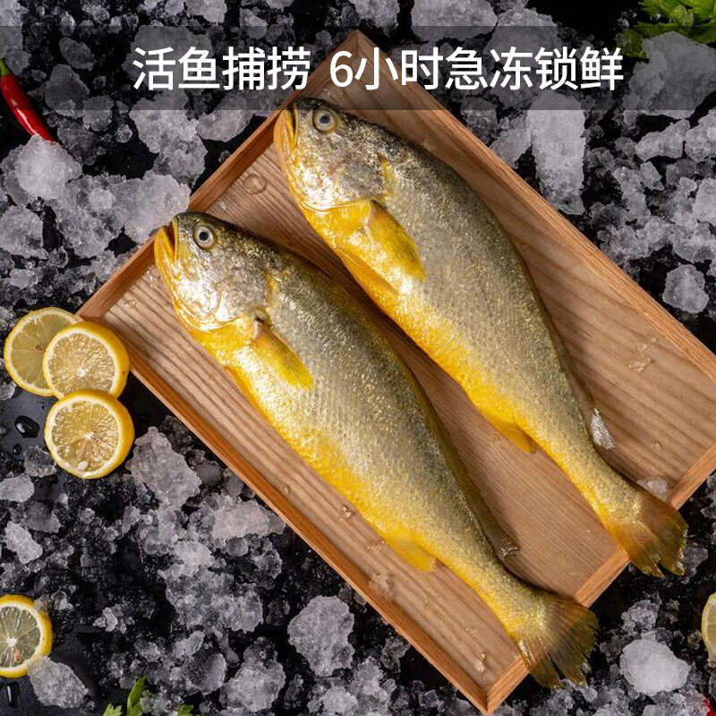 三都港 冷冻宁德大黄花鱼700g 2条装 生鲜 鱼类 国产海鲜水产 健康轻食