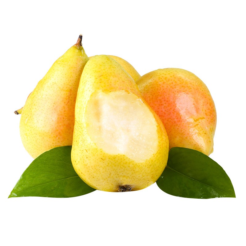 山东太婆梨 5斤大果11-15个梨子 茄梨大头梨香蕉梨时令水果新鲜整箱