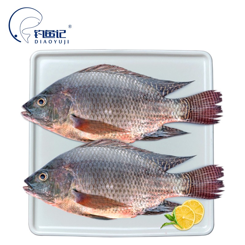 钓鱼记 国产罗非鱼500g/2条 三去开背 出口品质 健康轻食 鱼类生鲜 烧烤食材 海鲜水