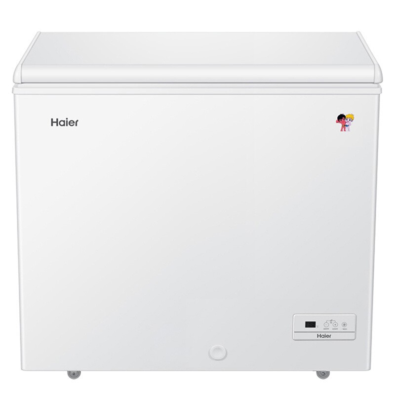 海尔（Haier）201升电脑控温 冷藏冷冻转换小冷柜BC/BD-201HEJ