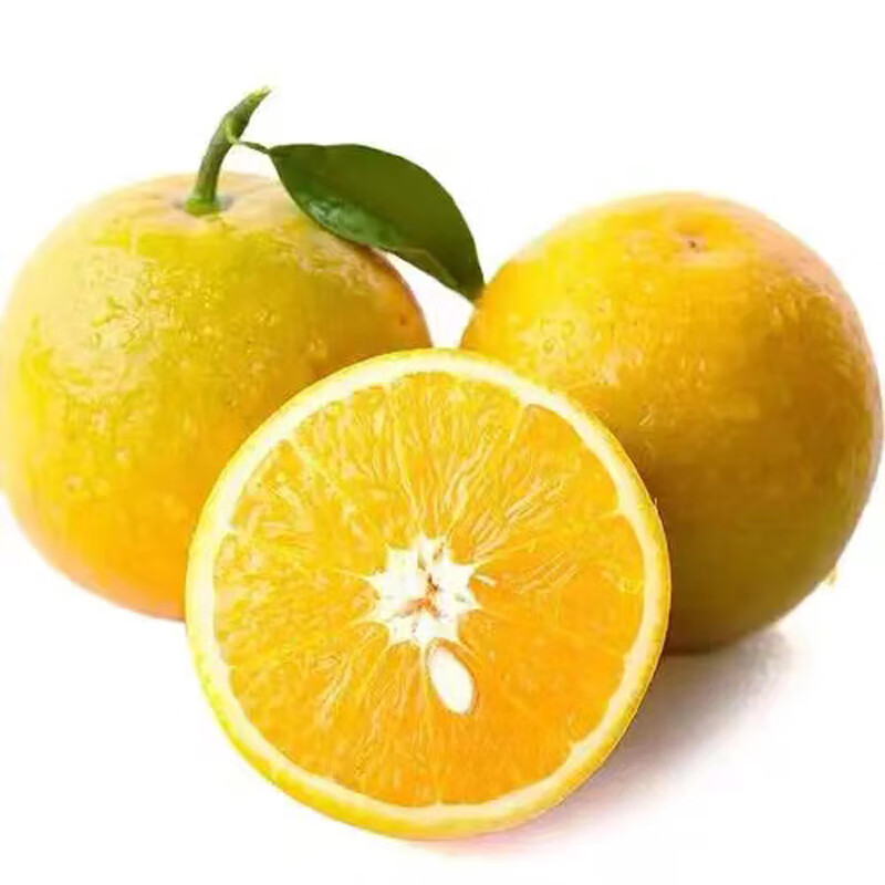 夏橙 鲜甜橙子 2.5kg装 单果140-170g 新鲜水果