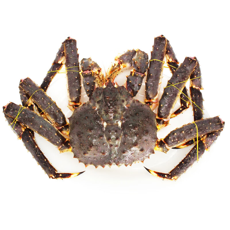 【活鲜】御鲜之王 鲜活帝王蟹2700-2850g/只 超大螃蟹肉蟹 长脚蟹