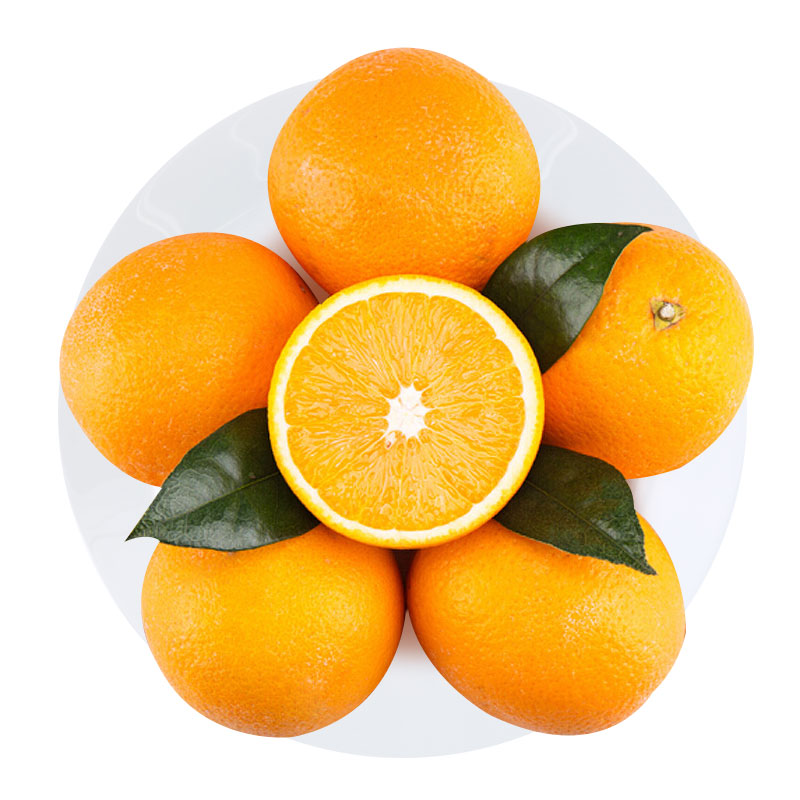 南非进口夏橙 橙子 一级果4kg装 单果重约190-230g 中秋水果