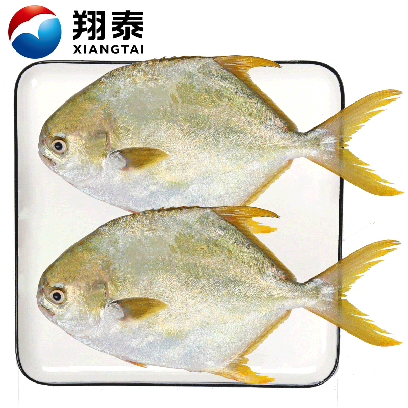 翔泰 国产海南金鲳鱼900g（2条）全条 火锅 无公害认证 全程可追溯 鱼类 生鲜 火锅食