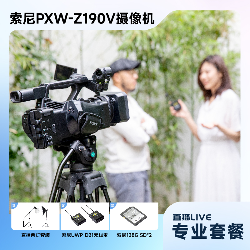 索尼（SONY）PXW-Z190V会专业4K手持摄录一体机+专业套餐