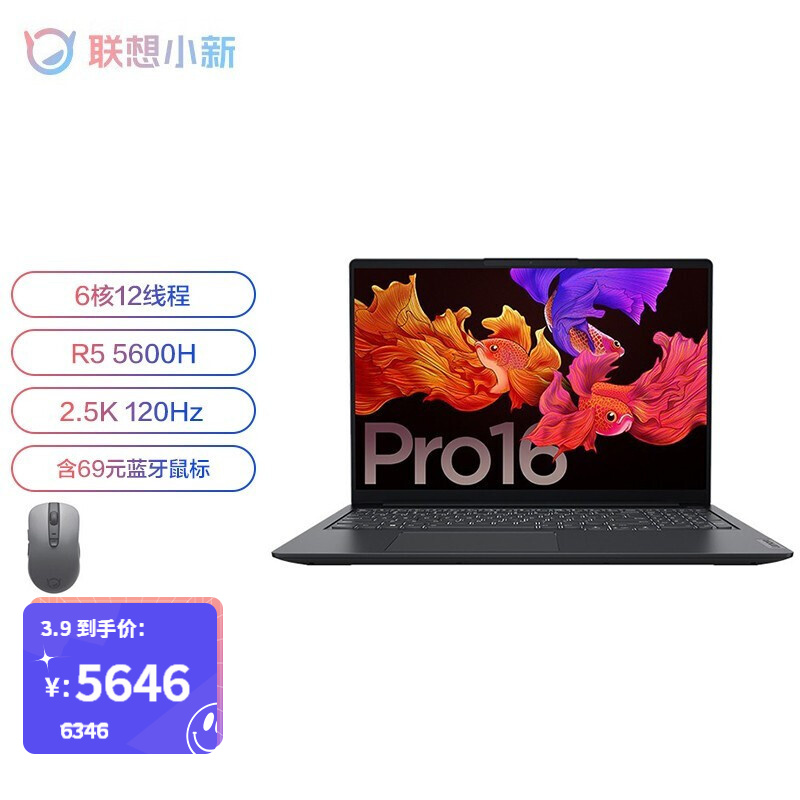 联想（Lenovo）小新Pro16 标压锐龙版 全面屏轻薄笔记本电脑 R5-5600H 16G 512G GTX1650
