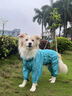 MOEPIE狗狗雨衣金毛邊牧拉布拉多中大型犬雨衣2025全包四腳透氣雨衣 綠色 3XL＋（推薦50-65斤） 曬單實拍圖