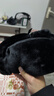 恒源祥冬季保安棉帽黑色加厚栽絨雷鋒帽東北皮帽防風(fēng)保暖執勤抗寒棉帽子 黑布棉帽(不帶徽) 加厚款 小號(55-56CM頭圍) 曬單實(shí)拍圖
