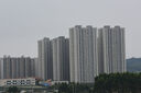 騰龍 Tamron 70-200 150-600全畫幅遠(yuǎn)攝中長焦二手單反風(fēng)景鏡頭佳能尼康 騰龍 150-600/F5-6.3 USD VC 95新【尼康A(chǔ)F口】 曬單實拍圖
