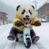 車載警報(bào)器汽車警笛黑鋒喇叭無(wú)線遙控開(kāi)道喊話器大功率超響12v 600W全套/主機(jī)帶黑鋒喇叭1只 全套 曬單實(shí)拍圖