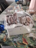 漁水依微山湖原生態(tài)鮮活大鯽魚淡水新鮮小土鯽魚鯽瓜子燉湯孕婦滋補(bǔ)河鯽 小號鯽魚（每斤6-8條） 2斤 曬單實(shí)拍圖