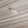 適用蘋果13手機(jī)防塵塞iphone12充電口堵頭安卓華為vivo小米typec尾插接口11pro電源 TYPE-C硅膠款普通防塵塞【透明色1個(gè)】 曬單實(shí)拍圖