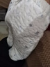 冬季哈咪奇寶寶三層保暖褲男童純棉加厚秋褲女童夾棉貼身打底褲子 香芬花卉淺藍(lán) 100cm 曬單實(shí)拍圖