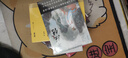 守夜（2021版，《肖申克的》原著作者，入圍軌跡文學(xué)獎和世界奇幻文學(xué)獎最佳短篇集） 曬單實拍圖