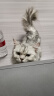 欢宠网 猫玩具UBS充电逗猫棒红外线逗猫笔自嗨激光灯激光笔逗猫棒神器猫咪互动小猫幼猫猫咪用品玩具 实拍图