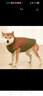 搭啵兔狗衣服秋冬馬甲復古新款中大型犬可牽引冬天防水加厚保暖柴犬棉服 復古拼色咖啡色 4XL【參考體重28-40斤】 曬單實(shí)拍圖