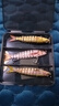 獵魚傳奇 遠投淡9節(jié)泥鰍仿生路亞假餌翹嘴鱸魚鱖魚桂魚10克野釣江河路亞餌 10cm 三條盒裝A【適釣5斤內(nèi)】 曬單實拍圖