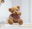 毛衣泰迪熊公仔卡其60cm抱枕毛绒玩具娃娃玩偶女朋友情人节礼物 实拍图
