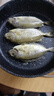 愛(ài)路客（ALOCS）露營(yíng)炊具戶(hù)外鍋具燒水壺便攜野炊裝備城市出逃套裝煮鍋煎鍋LE途（2鍋1煎鍋1水壺）3-4人 曬單實(shí)拍圖