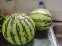 懿鮮匯覓選麒麟西瓜 現摘新鮮美都西瓜【JD順豐-送貨上門(mén)】頭茬冰糖西瓜 2個(gè)裝 【總重14斤以上】防摔包裝 曬單實(shí)拍圖