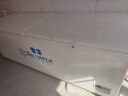 雪花（SNOWFLK）冰柜商用家用大容量卧式冰柜冷柜冷藏冷冻转换柜 BD/BC-1388 实拍图