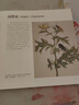 花朵傳奇：大航海時(shí)代的植物圖譜 植物大發(fā)現(xiàn) 植物繪畫 圖譜 大英圖書館出品 曬單實(shí)拍圖