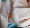 南极人（NanJiren）抗菌100%纯棉四件套 全棉床上床单被套200*230cm 适用1.5米床 实拍图