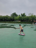 海德（HEAD）兒童滑板初學(xué)者寶寶四輪滑板車男女孩可調(diào)節(jié)雙翹板 粉紅章魚寶寶 曬單實拍圖