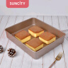 阳晨YC80254 古早蛋糕烤盘面包饼干烤箱家用12.8寸长方深盘 实拍图