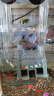 亲卫鱼缸孵化盒孔雀鱼繁殖盒斗鱼亚克力隔离盒热带鱼产卵小鱼宝宝 实拍图