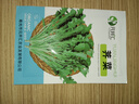唯友蔬菜種子大全四季播種陽(yáng)臺盆栽農家小菜園香菜生菜菠菜小蔥易種 薺菜 約800粒 曬單實(shí)拍圖