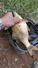 壹條魚(yú)兒鉤尖江湖艱苦奮斗也要釣魚(yú)蚯蚓餌腥味秋冬季野釣鯽魚(yú)鯉魚(yú)鳊魚(yú)餌料 五谷豐登年年有魚(yú)【450克】1包 曬單實(shí)拍圖