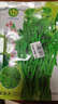 農(nóng)之子 增城遲菜心種子四季廣東甜菜心種籽孑蔬菜種子秋冬 增城一號遲甜菜心王種子 10g×2 曬單實(shí)拍圖
