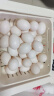 保卫蛋蛋新鲜鸽子蛋农家孕妇宝宝杂粮喂养送礼礼盒端午节送礼 初生蛋30枚(宝宝鸽蛋) 实拍图