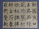善璉湖筆兼毫毛筆套裝 大中小楷毛筆歐楷趙柳行書楷書法墨汁初學(xué)者 文房四寶 知新大中小號(hào)兼毫毛筆三支裝 曬單實(shí)拍圖