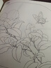 中國畫白描描摹本 工筆畫白描底稿臨摹畫冊 山水花鳥線稿描摹練習(xí)冊 國畫初學(xué)者入門套裝 工筆畫白描線稿本 千里江山宋代花鳥宋清花鳥工筆人物 宋清花鳥白描底稿-60幅 曬單實拍圖