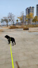 福莱希（flexi）巨型系列狗狗自动牵引绳自动伸缩链带状L8米黑色/荧光黄 实拍图