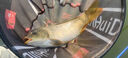 神聚釣魚(yú)小藥魚(yú)爽100ml春夏季誘魚(yú)劑秋冬季黑坑野釣鯽魚(yú)鯉魚(yú)草魚(yú)餌料 曬單實(shí)拍圖