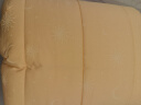 安睡宝（SOMERELLE）全棉抗菌杜邦英威达七孔纤维被子秋冬被芯4.5斤200*230cm 实拍图