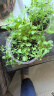 德沃多肥料蔬菜营养土15L带肥料 园艺种菜土壤阳台盆栽蔬菜通用型种植基质土 实拍图