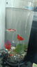 貝拉緣創(chuàng  )意客廳金魚(yú)缸玻璃水族箱小型生態(tài)圓形圓柱大號烏龜缸造景桌面缸 20*40圓柱+彩石6件套 曬單實(shí)拍圖