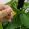 中國黃金（CHINA GOLD）平安鎖福字黃金吊墜足金掛墜長命鎖項(xiàng)七夕情人節(jié)禮物送女朋友老婆 平安鎖吊墜【贈銀鏈】 約1.3g 曬單實(shí)拍圖