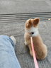 纖寵（QIANCHONG）狗繩狗鏈子狗狗牽引繩柴犬狗繩子中小型犬泰迪狗帶金毛柯基遛狗繩 歐凌橘-（項圈+牽引繩） M-中型 曬單實(shí)拍圖