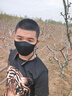 DICIFY黑社會(huì)衣服夏季半袖男3Dt恤修身痞帥潮流上衣:社會(huì)精神小伙緊身衣 3D老虎短袖【后背無(wú)圖案】 2XL 曬單實(shí)拍圖