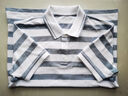 龍牙2024新款龍牙隱之冰斕COOLMAX色織短袖POLO春夏舒適百搭條紋衫 藍白條紋 170/92A 曬單實(shí)拍圖