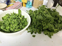 新鮮甲拋葉打拋葉塔拋葉泰式香料菜調(diào)味調(diào)料食用食材蔬菜嘎拋越菜 100g 曬單實拍圖